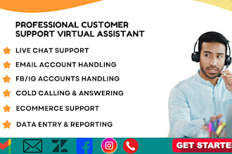 provide live chat support, customer support and social media manager