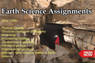 provide tutoring services related to petroleum engineering