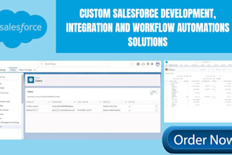 expert salesforce custom dev workflow automation integration data migration