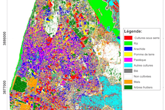 perform professional gis and remote sensing analysis
