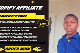 shopify affiliate marketing, link promotion, sales funnel, landing page