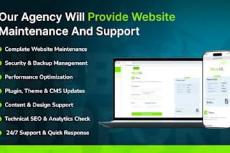 provide website maintenance and support