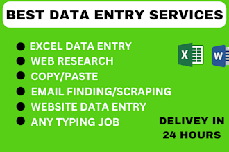 do excel data entry in low price