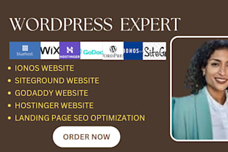design wordpress website on ionos, siteground, hostinger, bluehost, namecheap