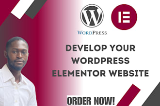design or redesign ecommerce wordpress website with elementor and elementor pro
