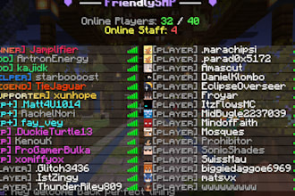 setup a minecraft server and configure plugins for you