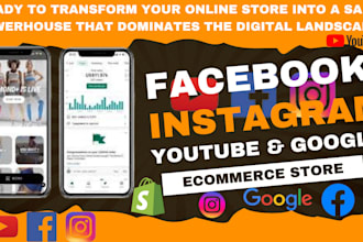 setup a facebook, instagram, youtube and google ads for your ecommerce store