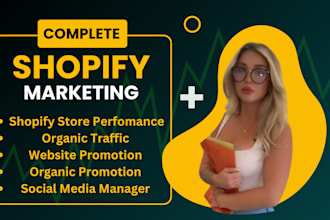 shopify dropshipping store seo facebook ads shopify store promotion google ads