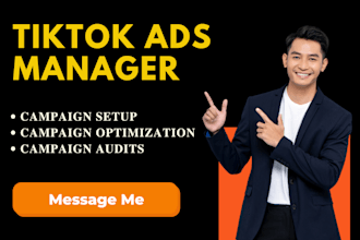 run tik tok ads as your tik tok ads manager