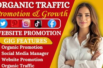 increase organic website traffic on social media, website promotion, shopify ads