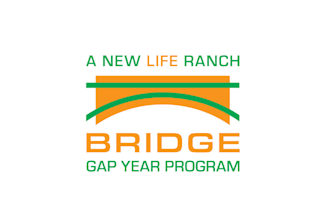 make traditional greatest bridge logo