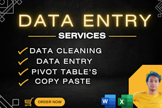 do excel data entry, cleaning, graph, pivot table, dashboard