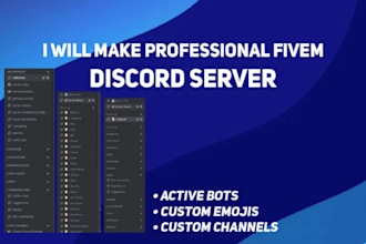 make you a discord server professionally