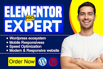 be elementor expert to replicate website, debug wordpress, canva to wordpress
