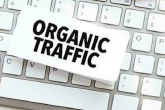 get traffic to your website through website promotion, rapid sales