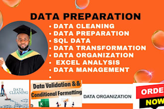 clean, organize, and prepare your data with sql and excel