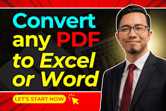 convert PDF to excel or word with accurate manual typing