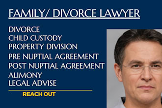 provide legal advice on divorce, family law, child custody, US family lawyer