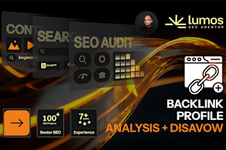 audit your backlink profile and disavow negativ links