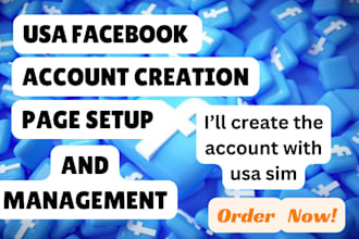 create usa facebook account, usa tiktok account, usa instagram account for you