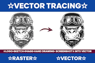 redraw and trace any images, manga, anime, logo into vector