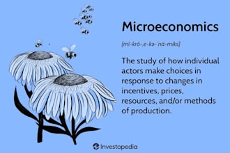 economic theories, microeconomics, macroeconomics, marketing