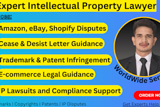 be your IP lawyer for trademark, copyright, patent and ecommerce disputes