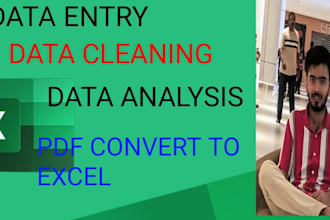 data cleaning and data analyst, data entry