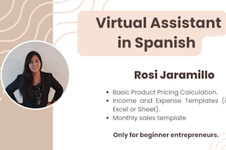 virtual assistant for entrepreneurs