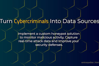 professional honeypot development and deployment
