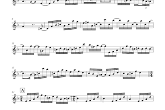 write the sheet music for your songs