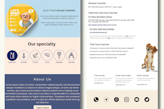 design mailchimp email template newsletter