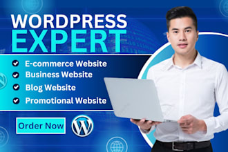 design, redesign, clone, build, rebuild wordpress, wordpress website development