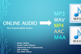 convert online audio to any format wav, mp3 etc