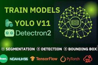 train yolo12, yolo11, cascade mask r CNN, detectron2, segmentation, bounding box