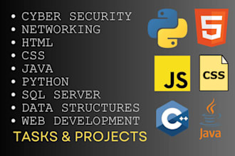 do networking, cyber security, information projects report