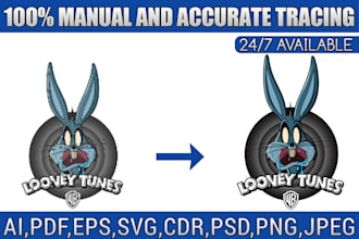 do vector tracing, color separation, and redraw
