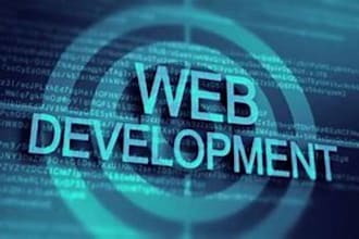 provide gis mapping, web programming, and design professional graphics