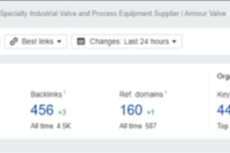 run successful PPC and SEO campaigns as an expert