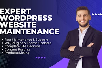 provide maintenance and reliable support for your wordpress website