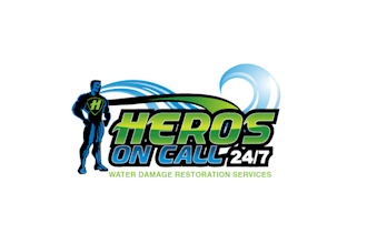 make existing minimal water damage logo