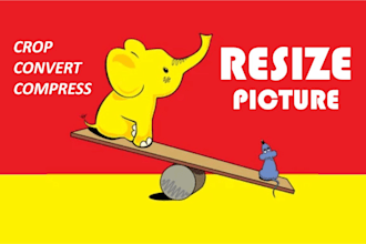 resize 300 picture crop compress picture rename remove background change color