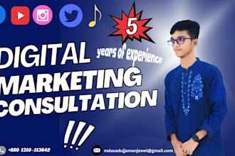 provide expert digital marketing consultation for growth