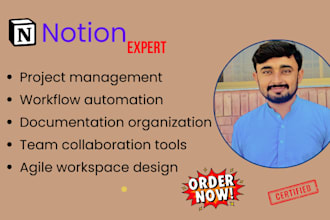 notion expert do notion project management to enhance productivity