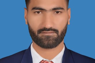 professional full stack developer
