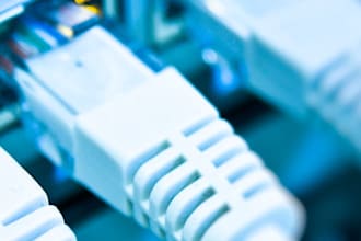 provide expert telecommunications network consulting and management services