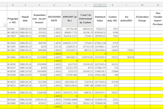 excel data cleaning, formatting and management