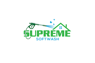 create a stunning cleaning maintenance logo design