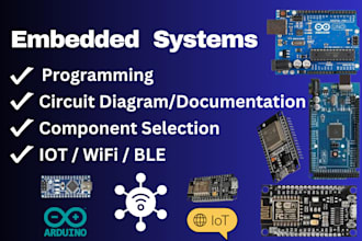 do embedded system ad iot projects