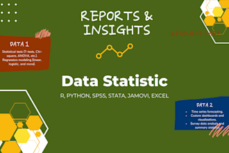 do statistical data analysis, reports in r, spss, python, excel, stata